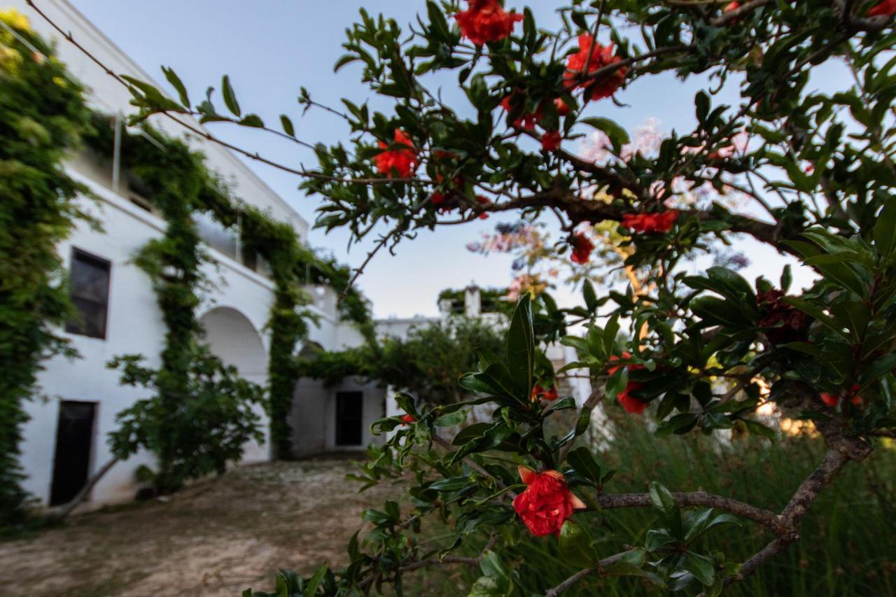 Masseria Parco Di Castro Montalbano  Exterior foto
