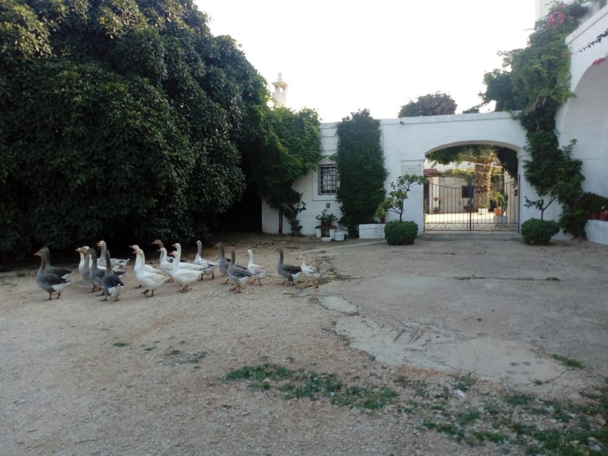 Masseria Parco Di Castro Montalbano  Exterior foto